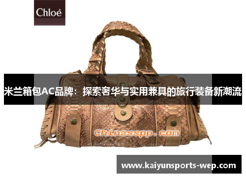 米兰箱包AC品牌：探索奢华与实用兼具的旅行装备新潮流