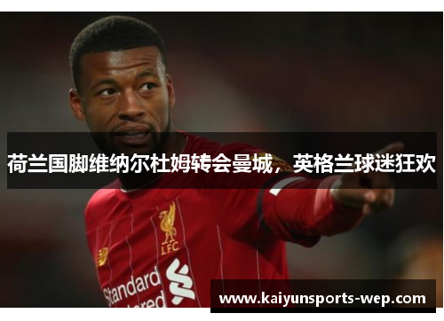 荷兰国脚维纳尔杜姆转会曼城，英格兰球迷狂欢